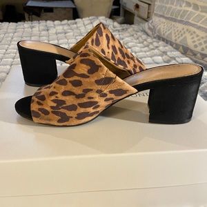 Cheetah heels only worn once
